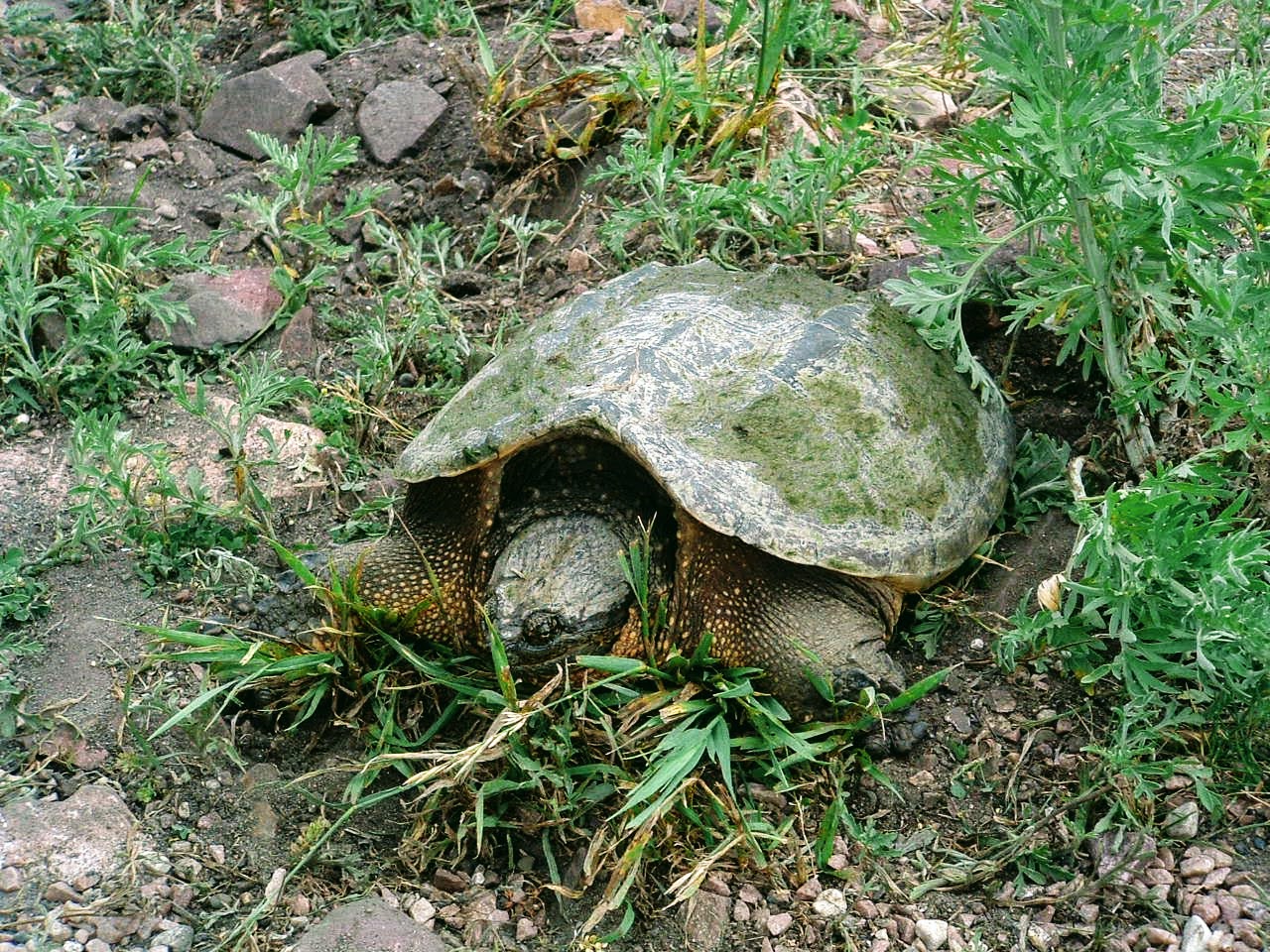 Images from Pipestone National Monument and Blue Mounds State Park ...